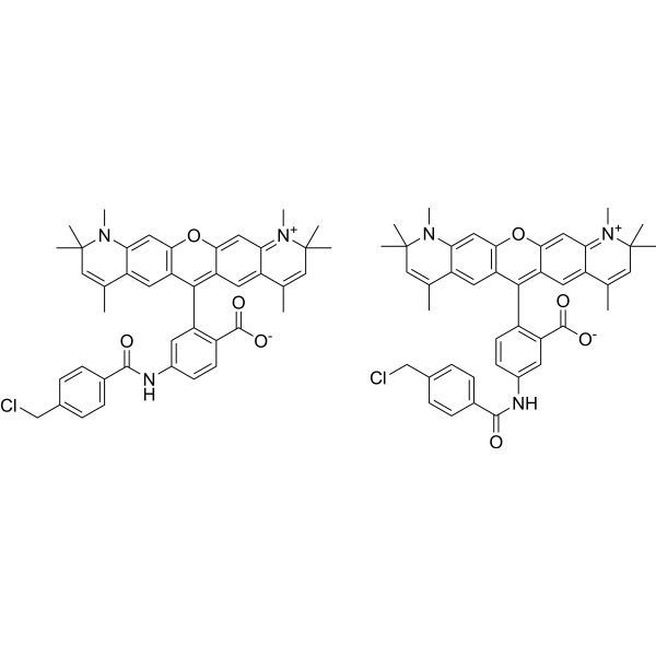CellTracker Red CMTPX